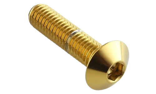 Dome Bolt Stainless Steel S.S-316 Brass - Varad Engineering